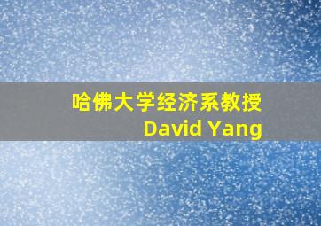 哈佛大学经济系教授 David Yang